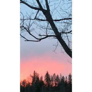 Meet your Posher, Isabelle